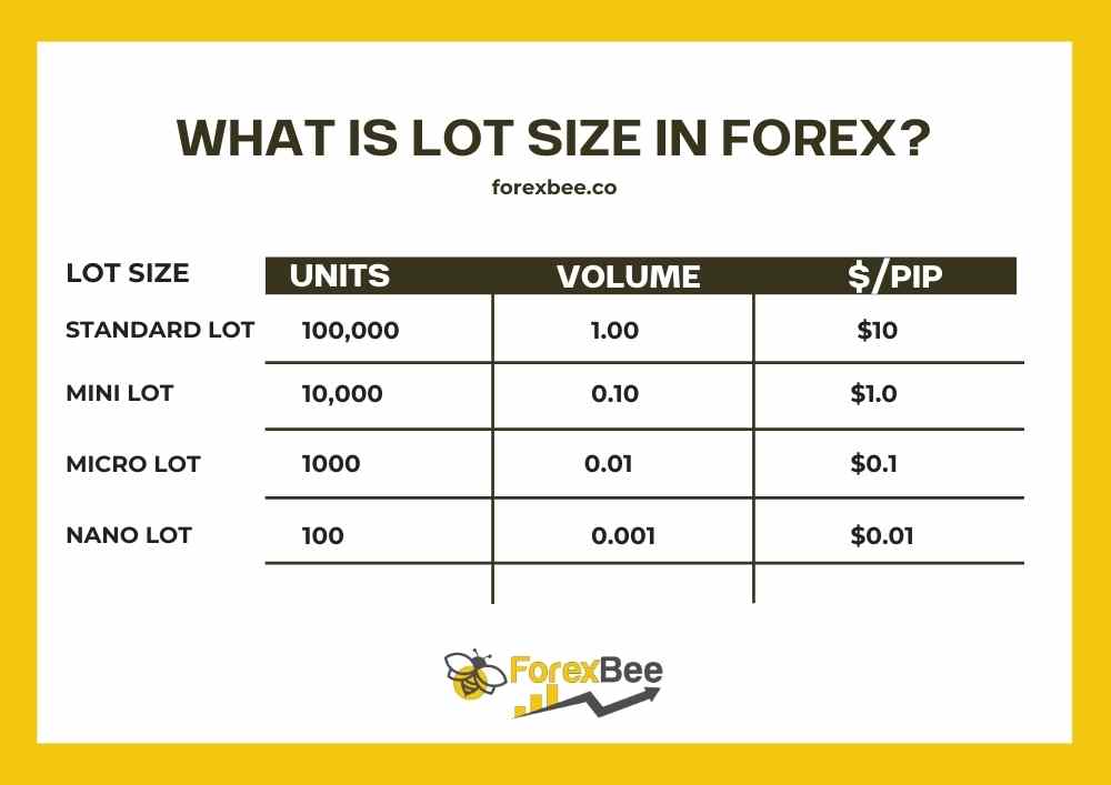standard lot size forex market