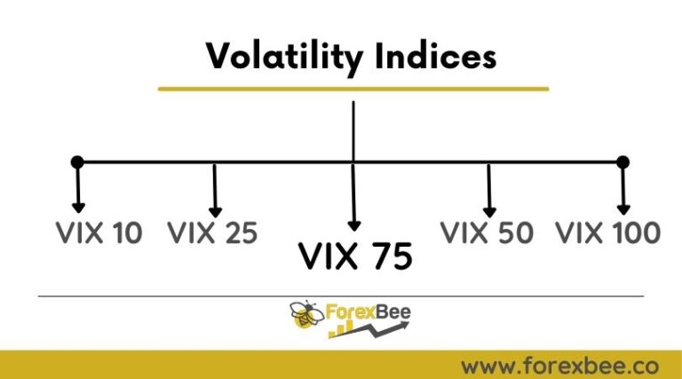 volatility 75 index