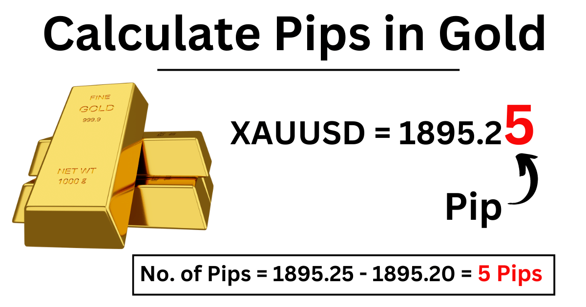calculate pips in gold